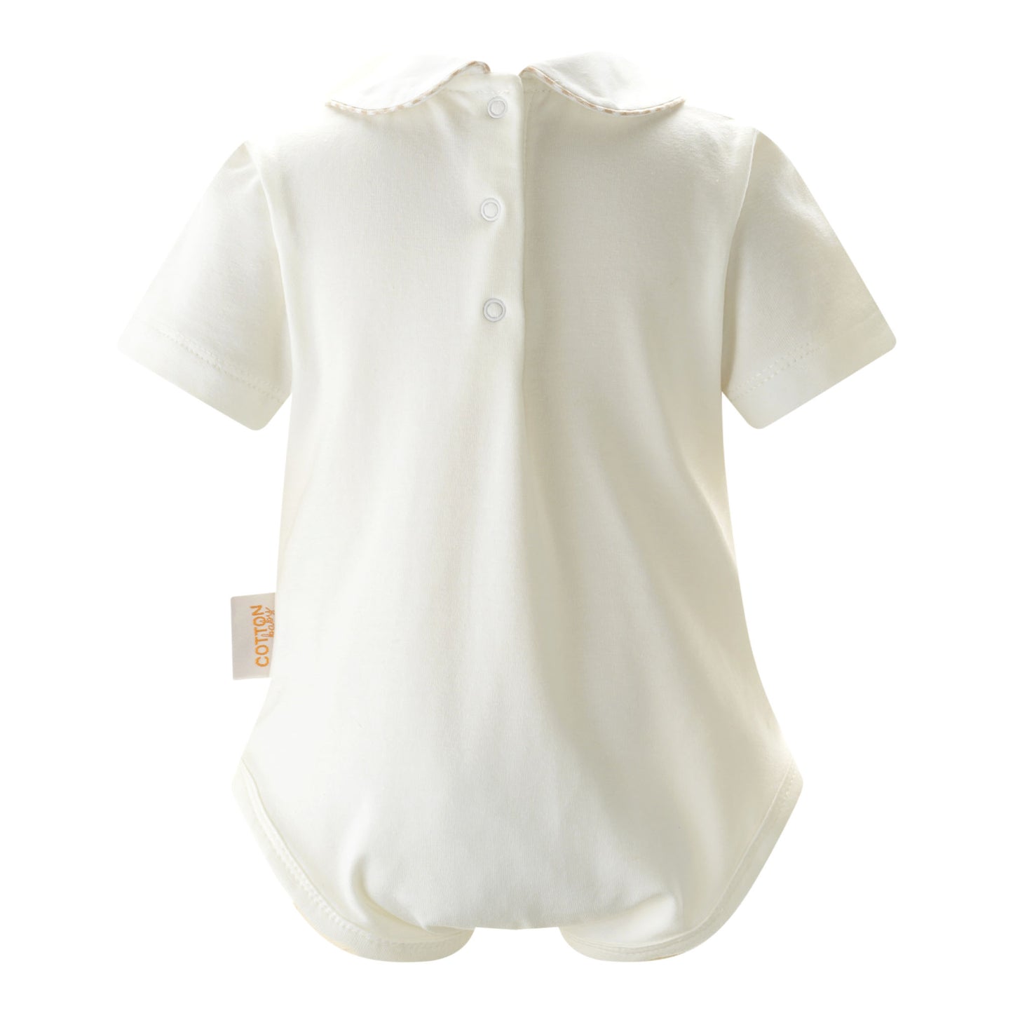 Gingham Peter Pan Collar Bodysuit